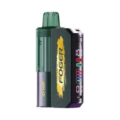 FOGER SWITCH PRO KIT 30,000 PUFFS VAPE (ICY MINT)