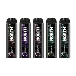 North 10ml 5000 Disposable 5%