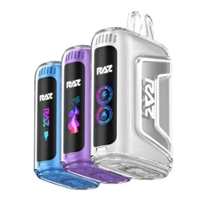 Raz TN9000 Disposable Vape Device - 6PK