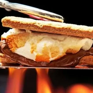 Campfire S’mores