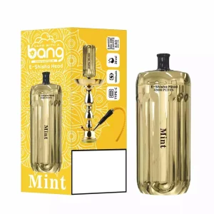 BANG BLAZE E-SHISHA 42000 Puffs DSK038 Bulk Buy Rechargeable Disposable Vapes Wholesale
