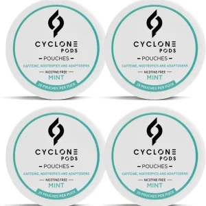 Focus Pouches Mint 4-Pack