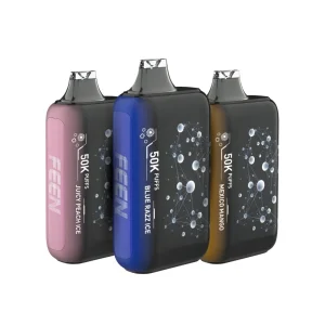 FEEN 50K 2% Disposable Vape Device - 10PK