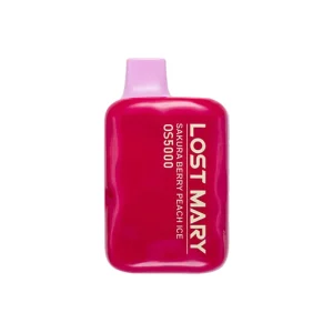 Lost Mary OS5000 Disposable Vape