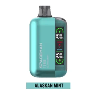 SMOK Spaceman Turbo 15000 Puffs Disposable Vape 15K - Alaskan Mint