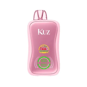 Kuz Flow 25K Disposable Vape 23ml