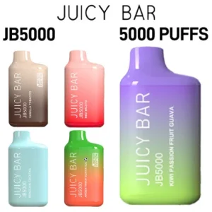 JUICY BAR 5000 PUFFS DISPOSABLE VAPE