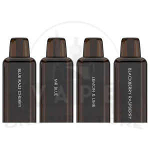 Bash Vape Echo Pro 10K Prefilled Pods