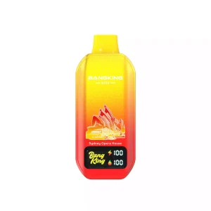 BANG KING 50000 Puffs CITY DSK044 Bulk Buy 50K Rechargeable Disposable Vapes Wholesale