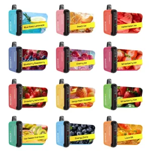 VAPME Spacex 22000 Puffs Digital Screen Bulk Buy Rechargeable Disposable Vapes Wholesale