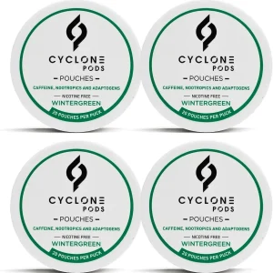 Focus Pouches Wintergreen 4-Pack