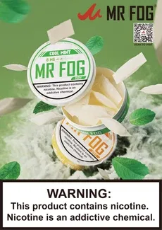 MR FOG NICOTINE POUCHES 12MG - 20CT PACK - Image 2