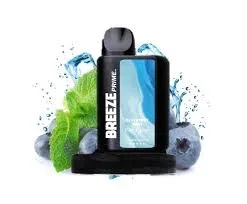 BREEZE PRO 2K PUFFS BLUEBERRY MINT