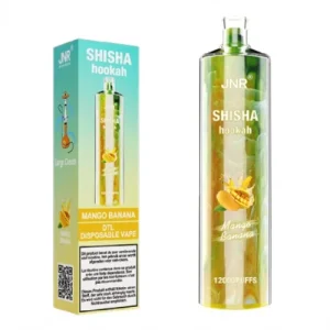 JNR Shisha Hookah 12K DTL Disposable Kit (12000 puffs)
