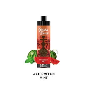 RandM Shisha Beast 20K Disposable Vape 30W