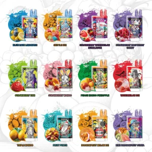 VAPME CRYSTAL 600 Puffs Bulk Buy Rechargeable Disposable Vapes Wholesale