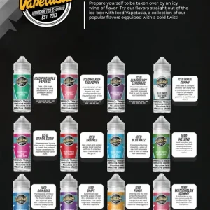 Vapetasia E-Liquid 100ml