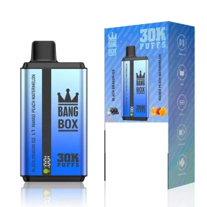 BANG BOX 30000 Puffs Double Tastes Bulk Buy Rechargeable Disposable Vapes Wholesale