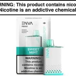 ENVA P8000 DISPOSABLE VAPE – 8000 PUFFS