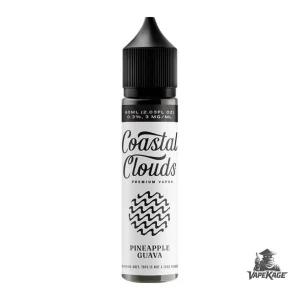 Pineapple Guava — Coastal Clouds 60mL Freebase