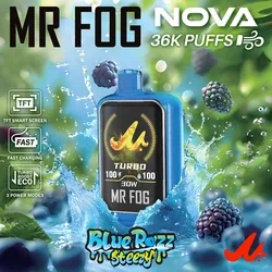 MR FOG NOVA MINT STEEZY SERIES 36,000 PUFFS DISPOSABLE VAPE - Image 2