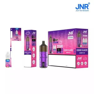 JNR PANDA 25500 Puffs Pod Kit Bulk Buy Dual Mesh Rechargeable Refillable Vape Wholesale