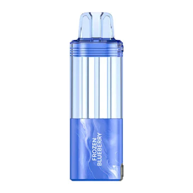 FOGER SWITCH PRO 30,000 PUFFS DISPOSABLE POD (FROZEN BLUEBERRY)