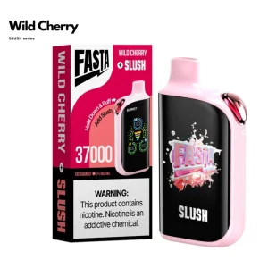 Fasta Burrst V2 37000 Disposable Vape 850mAh 5% (37K Puffs)