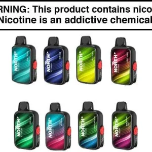 NORTH FT12000 DISPOSABLE VAPE – 12,000 PUFFS