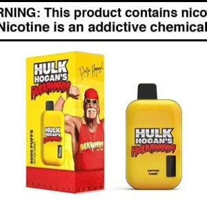 HULK HOGAN DISPOSABLE VAPE – 8000 PUFFS