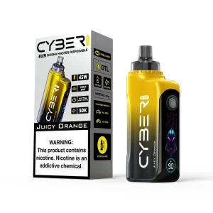Keystone Cyber Shisha 30K 30000 Puffs Disposable Vape 0.6%