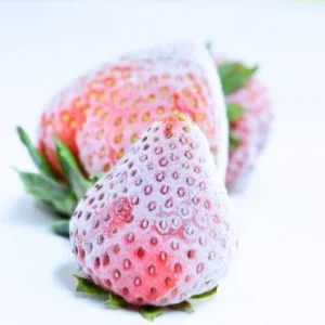 Iced Strawberry