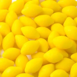 Twisted Lemon Salted