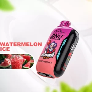 ANU Vista 30000 Puffs Digital Screen Bulk Buy Rechargeable Disposable Vapes Wholesale