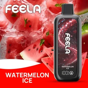 Feela Nic 40K Disposable Vape 650mAh