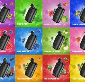 GEEK BOOST 5% NICOTINE 30K PUFFS DISPOSABLE VAPE