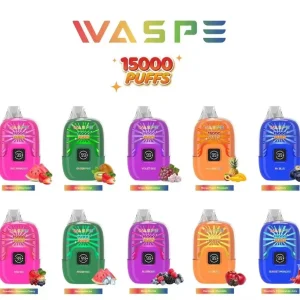 WASPE 15000 Puffs Digital Box Disposable Vape Wholesale