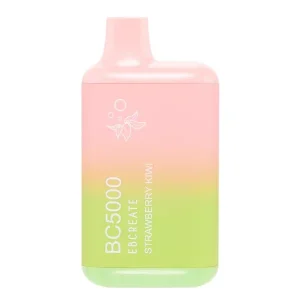 Strawberry Kiwi BC5000 - Vapeoutletus Online Vape Store
