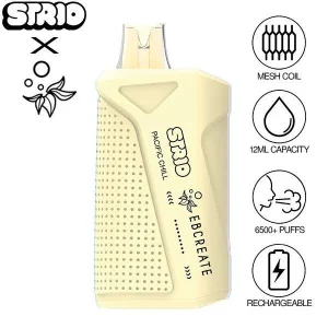 Strio x EB Vape XC6500