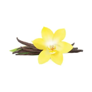 Vanilla Flavour Concentrate