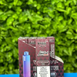 VFEEL V1 Blackberry Ice 6000 Puffs