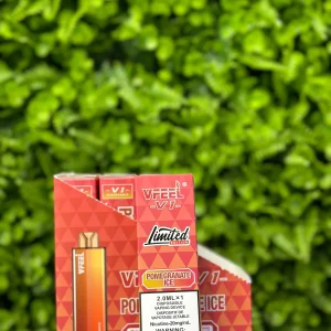 VFEEL V1 Pomegranate Ice 6000 Puffs