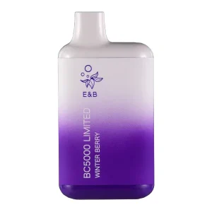 Winter Berry BC5000 - America’s Trusted Online Vape Store