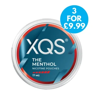 XQS Snus 17mg Nicotine Pouches The Menthol
